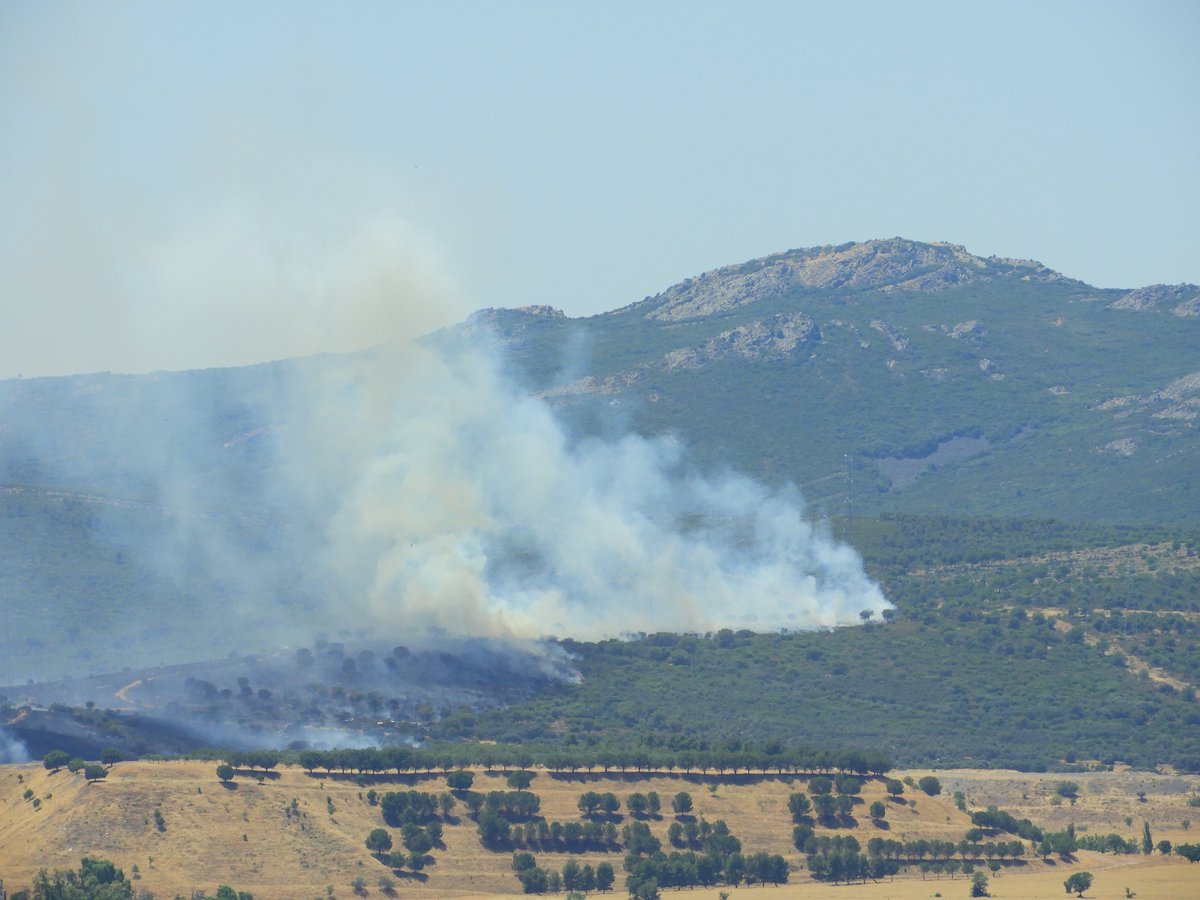 video2paco's tweet image. Incendio en  #Puertollano  #Primavera2022 @MundetPilar @madorobla @ElTiempo_tve @meteocr @meteocastuera @ElTiempoCMM @rasalvi49 @AEMET_CLaMancha @lasextameteo @castan_tere @aquilatierratve @tiempobrasero @eltiempoGCM  @tablas_daimiel