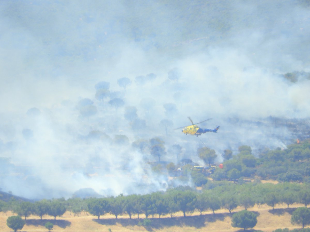 video2paco's tweet image. Incendio en  #Puertollano  #Primavera2022 @MundetPilar @madorobla @ElTiempo_tve @meteocr @meteocastuera @ElTiempoCMM @rasalvi49 @AEMET_CLaMancha @lasextameteo @castan_tere @aquilatierratve @tiempobrasero @eltiempoGCM  @tablas_daimiel