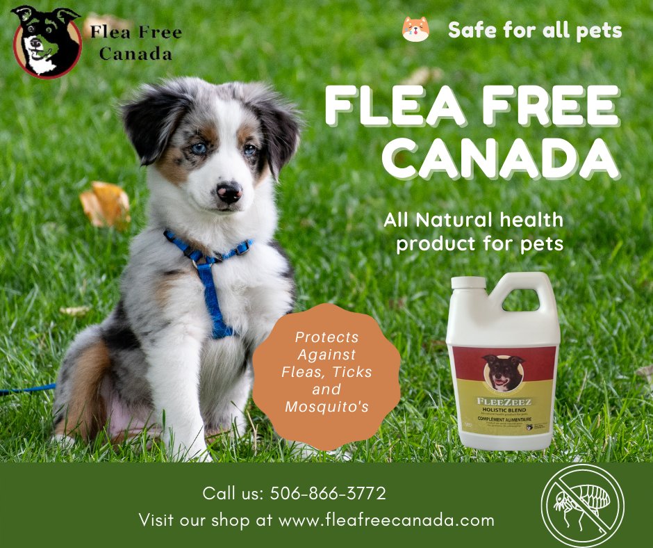 Flea Free Canada tweet media
