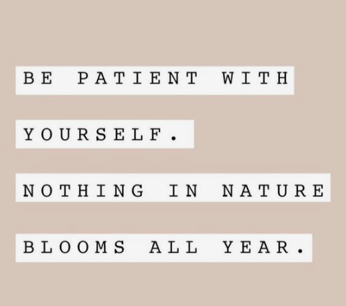 St. Pius X Church tweet media