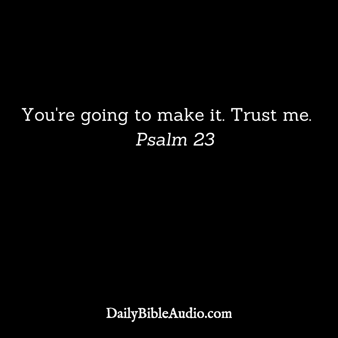 DailyBibleAudi1's tweet photo. Yes! (Psalm 23) 🔥🔥🔥
.
.
.
#biblerevival #biblequotesoftheday #bibleaddict #biblestudying #bibleread #bibleinphotos #biblethumper #bibleplan #scripturefun #biblewisdom💟 #bibleoflove🌹 #biblepicture #bibleverseoftheday📖 #bibleworld #biblebasics #biblemarking #kjv https://t.co/gXnBWnYjSG