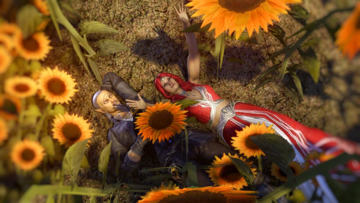 Amongst the sunflowers 🌻 💛 
#ESO #ElderScrollsOnline #ESOFam