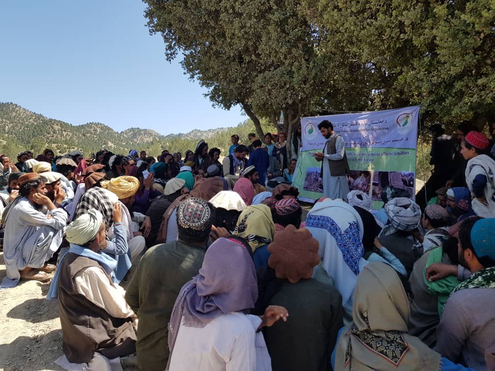 ONAIClimate's tweet photo. @ONAIClimate distributed in cooperation with @dhsa_afg to 120 households multi-purpose cash in #Spera district of #Khost province. We would like to thanks our colleagues &amp; the private donors who contributed to this cause. #EarthQuakeAfghanistan https://t.co/XK5e3hDEiP