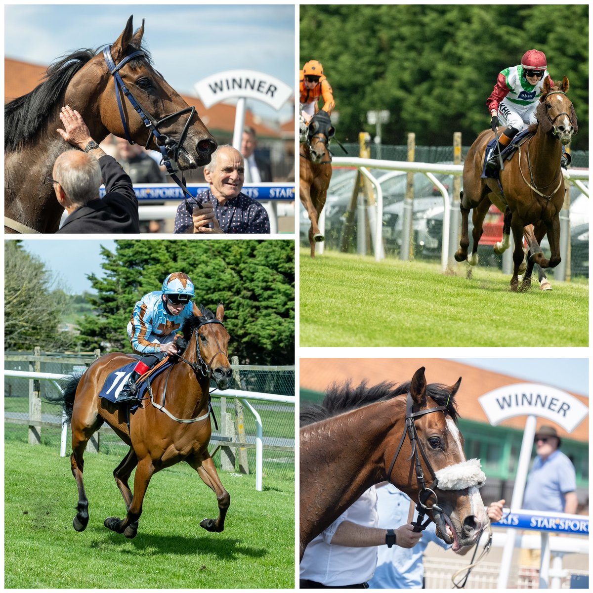 Brighton Racecourse tweet media