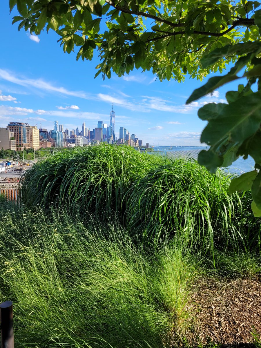 Ces espaces verts new-yorkais tout récents (Little island, une île artificielle) ou plus anciens comme la High line font le bonheur des habitants comme des touristes