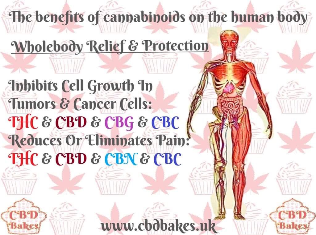 cbdbakes_ltd's tweet photo. Whole plant = Whole body protection. What do you feed yours? https://t.co/ZtgMnl2ypR
#hemphoney #rawhoney #happyhemp #cbdbakes #wellbeing #organichoney #wholeplant #raw #organichemp #naturalcannabinoids #superfood 
#cbdbakes #wholeplant
#naturallyoccuringcannabinoids https://t.co/PecGnS9znZ