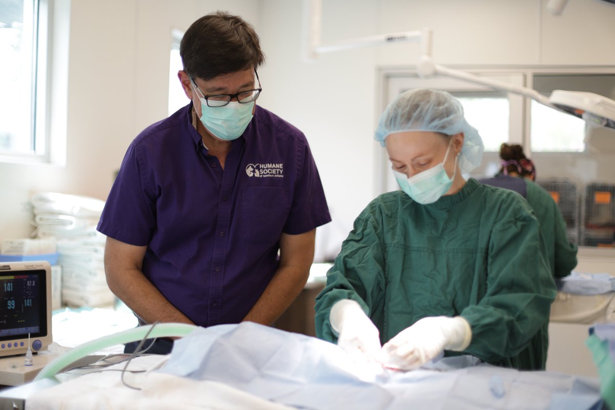 Humane Society So AZ tweet media