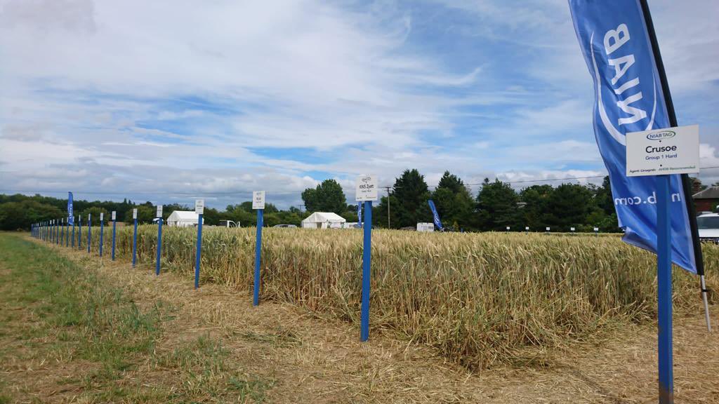 GVE_Agri_Events's tweet photo. We’re almost there! 
Join us for breakfast at 9am tomorrow sponsored by @KrestonReeves at their stand. #FavershamShowground #croptrials #arableevent #agriculture
Don’t forget to pre-register to save time at the entrance at https://t.co/BISRKlWu4r See you soon! 🌾🚜👩‍🌾🥐🥓💚 https://t.co/lIi02mmJn3
