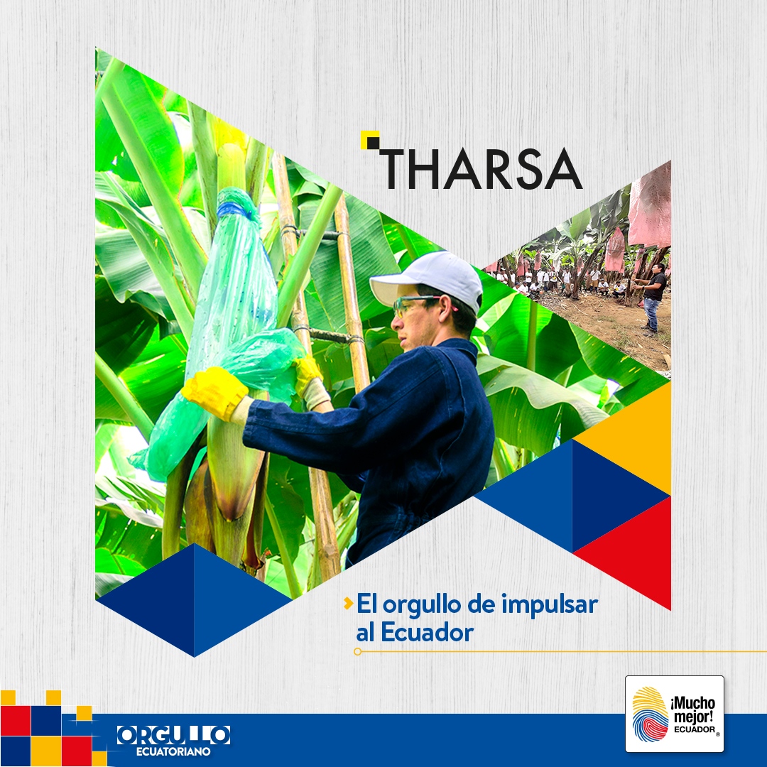 tharsaec's tweet photo. Compartimos el orgullo por construir un Ecuador 🇪🇨 de #calidad  y saber que juntos impulsamos la #Industriaecuatoriana ✨@Ecuador_calidad #THARSA #TECVAN https://t.co/HXFHSHWtxF