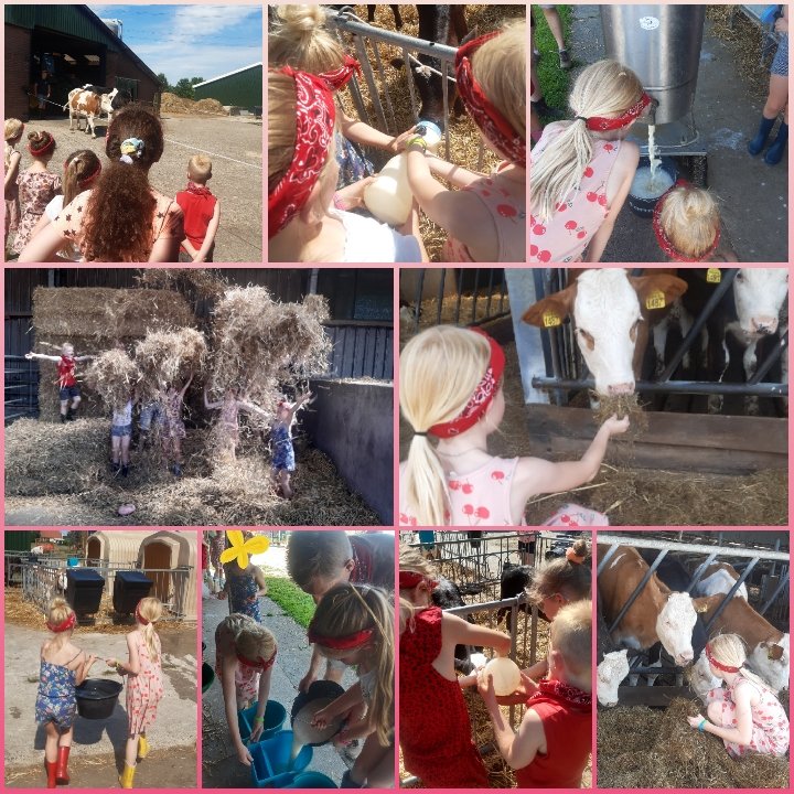 MargaKroezen's tweet photo. Mooie gesprekken, veel begrip, maar ook vragen tijdens het boerderijfeestje vanmiddag #boerburgerverbinding #stikstof https://t.co/ItXWccZPZ7