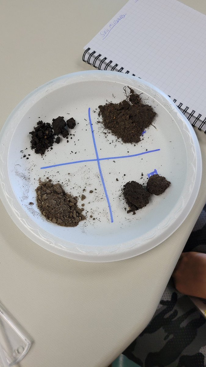 Project E3 tweet media