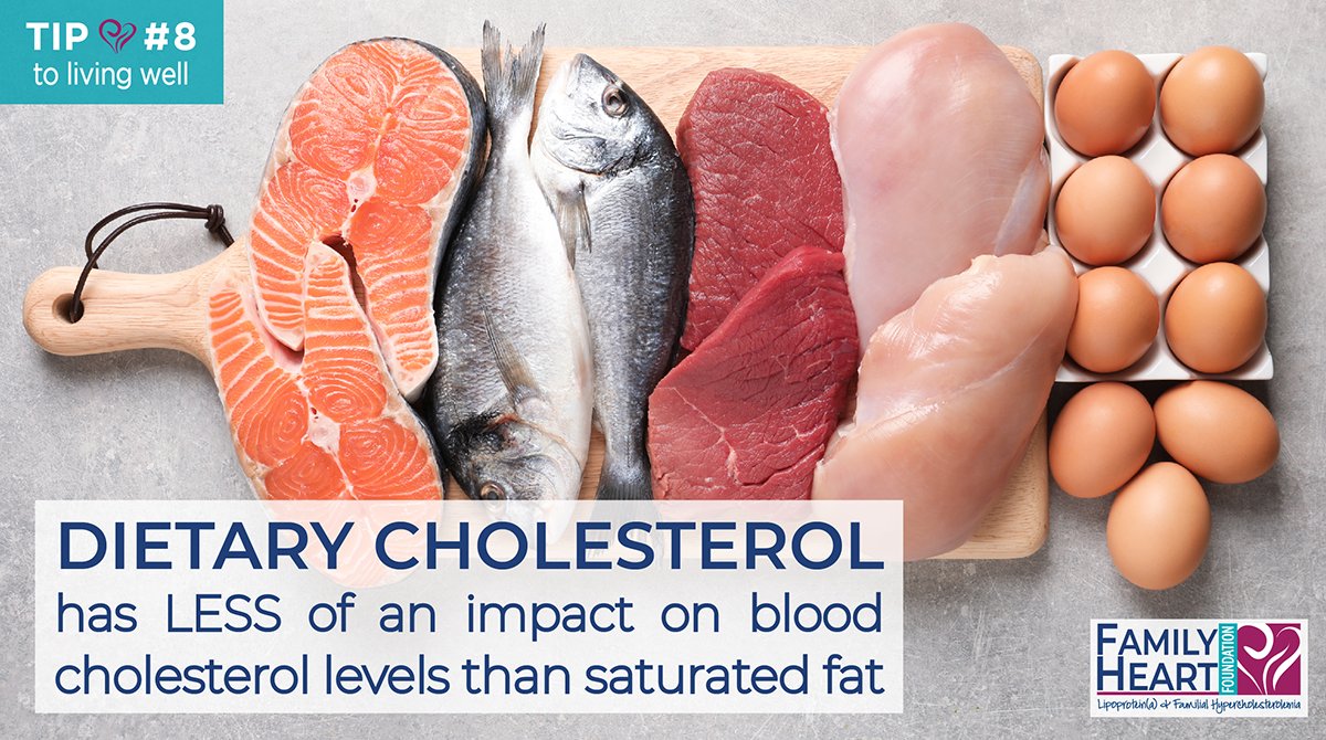 landing Feasibility kursiv Family Heart Foundation on Twitter: "Dietary cholesterol, found only in  foods from animals, has a LOWER impact on blood #cholesterol levels than  #saturatedfats – meaning foods like shellfish, have more cholesterol than