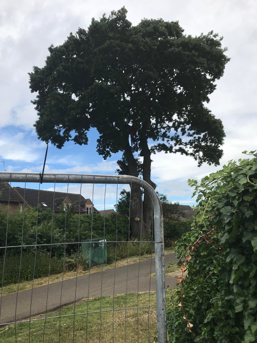 We are deeply saddened by the felling of the Bretton Oak Tree. Our councillors have continually supported the residents &amp; campaigners. Our hearts go out to all those who have fought for the tree. We have become part of an amazing community of people. #StopTheChop #BrettonOakTree