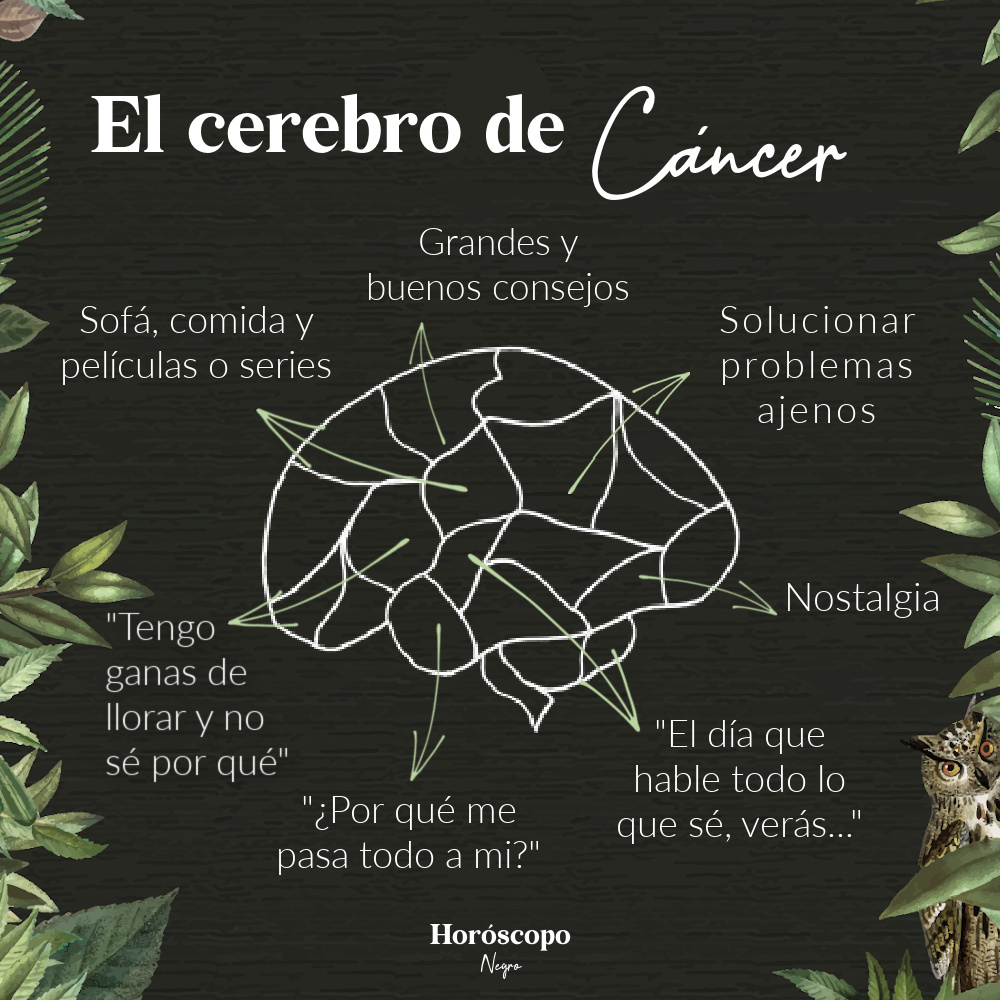 En el cerebro de #cancer ✨🔮✨ #horoscoponegro
