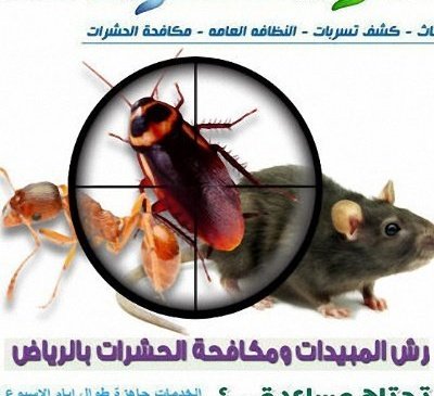 leek0367's tweet photo. تخفيضـاات📛
0501353745 
⏺️شركة تنظيف منازل بالرياض
📲الواتساب- https://t.co/LywZMannKE
كنب🛋️
سجاد
مجالس
موكيت
⏺️تعقيم كامل
مساجد
منازل
فلل
شقق
شركات
مطاعم
شاليهات
رش مبيدات و مكافحة حشرات
⏺️تنظيف مكيفات
اسبلت
مركزي
شباك
فريون
⏺️نقل اثاث عفش🚛
⏺️عزل خزانات مياه🚰
📲0501353745 https://t.co/JBjuNFID7U