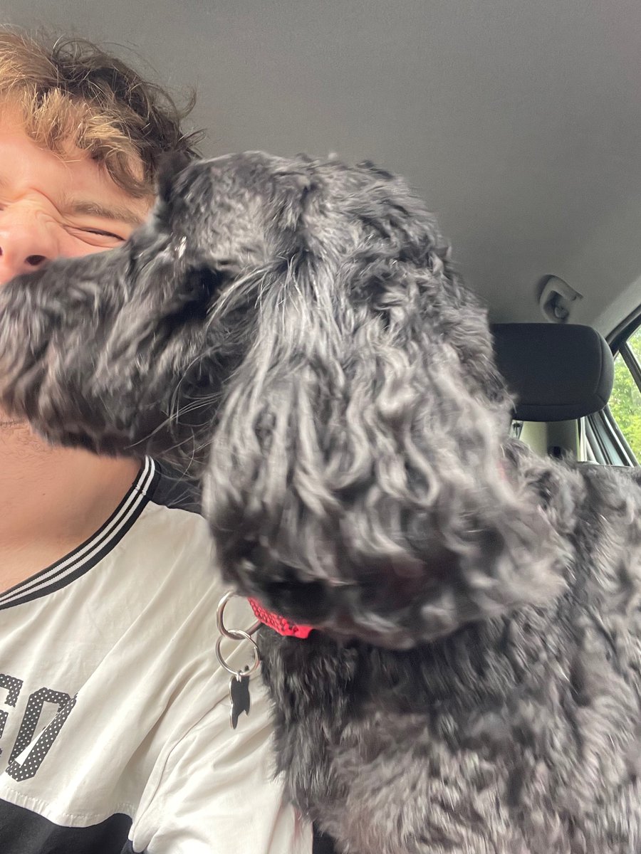 Just me and wee man this week. Other than that I've been remastering some tracks and practicing tunes. I hope your weeks are going well. X
.
.
.
.
.
.
.
.
#scottishmusicscene #dog #newmusic #musicproducer #sprockapoo #cockapoo