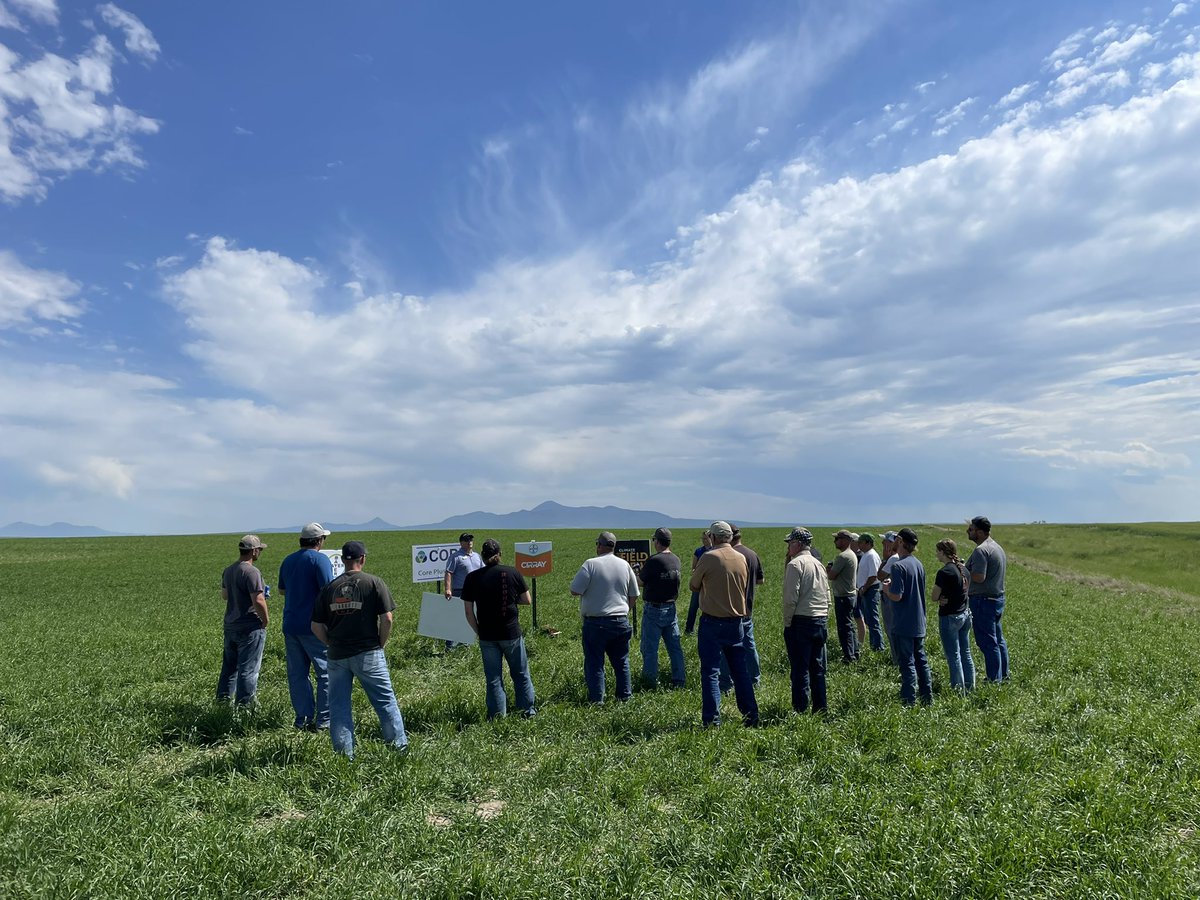 <a href="/Bayer4CropsCA/">Crop Science Canada</a> was our 4th stop on the <a href="/coreag_warner/">Core Ag Inputs- Warner Ltd</a> 2022 Poker Run. <a href="/GarettCowanBCS/">Garett Cowan</a> showed us #Cirray herbicide in the field and talked all things Bayer