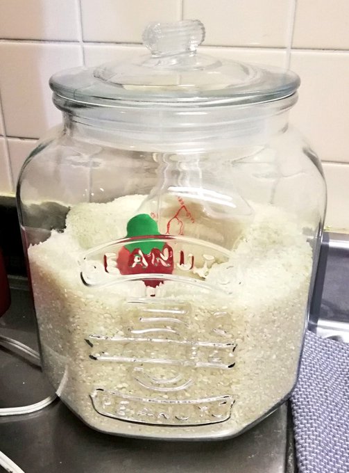 ニトリのガラスジャーを買って米びつにしたのでついでに米唐番を初めて使ってみたけどお米にぶっ刺さる唐辛子なかなか可愛いですな 