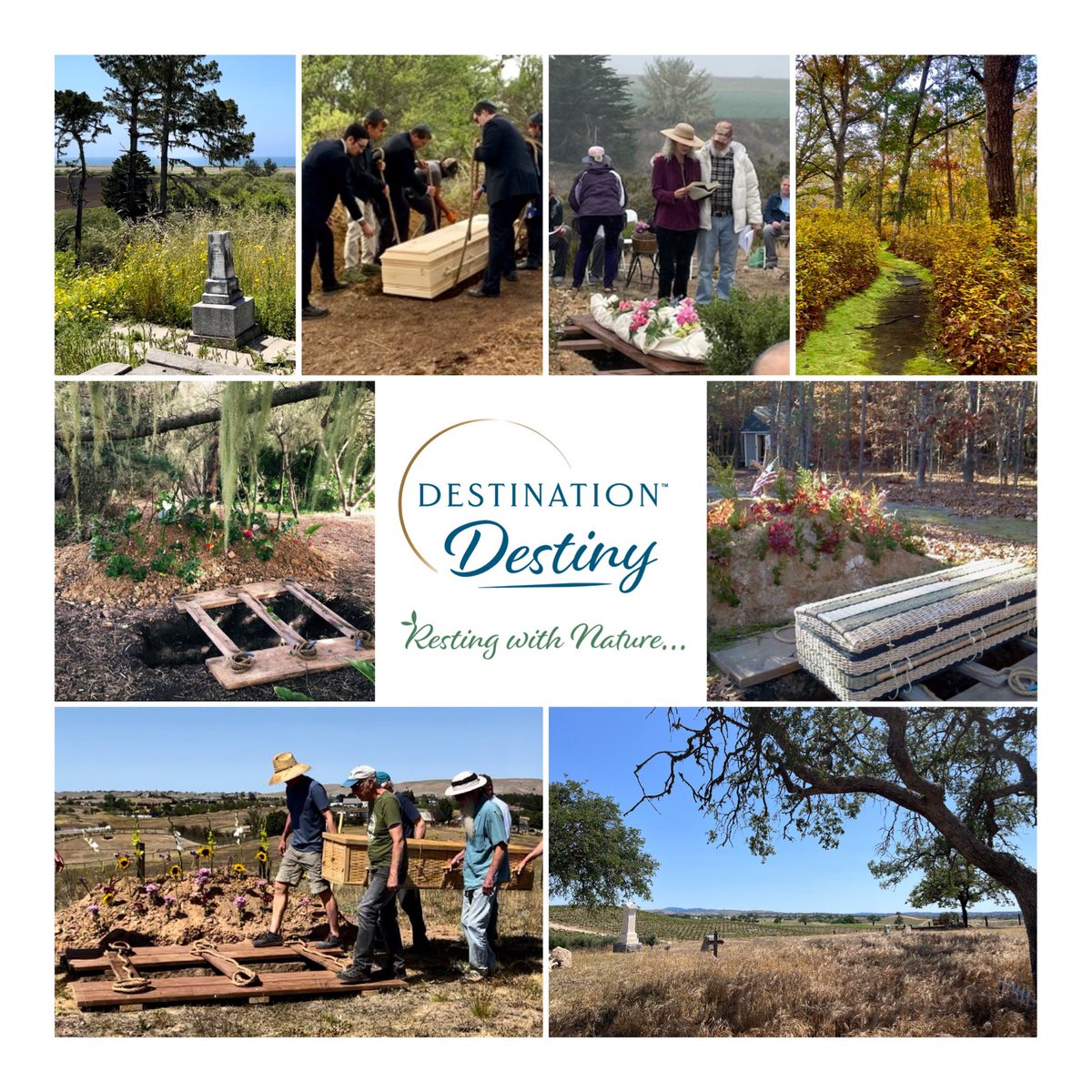 ddmemorials's tweet photo. Celebrate a #beautiful life that was lived with Destination Destiny Memorials. Our eight #cemeteries offer unique green #interment services from #tree of life #cremation to natural burial. Find a location near you by clicking the website in our bio. #greenburial #naturalburial https://t.co/NStaFPfuQ0