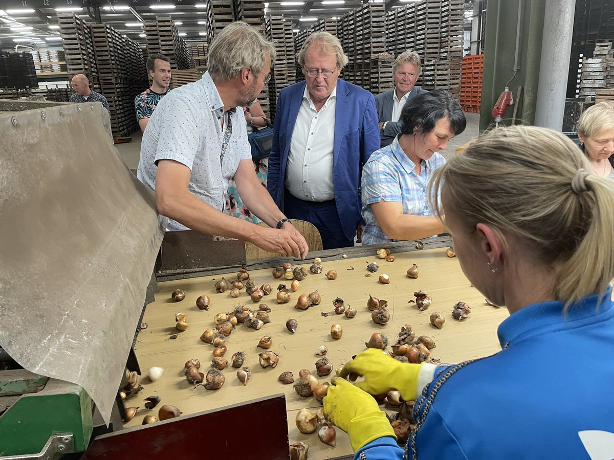 JaapSmitCdK's tweet photo. Bezoek aan bollenbedrijf WAM Pennings in Noordwijkerhout. Gesproken met vertegenwoordigers van Greenport Duin- en Bollenstreek en KAVB over ontwikkelingen en zorgen in deze mooie sector waar we zuinig op moeten zijn. @zuid_holland @JaapBond @GreenportDB https://t.co/PEro1P0PuK