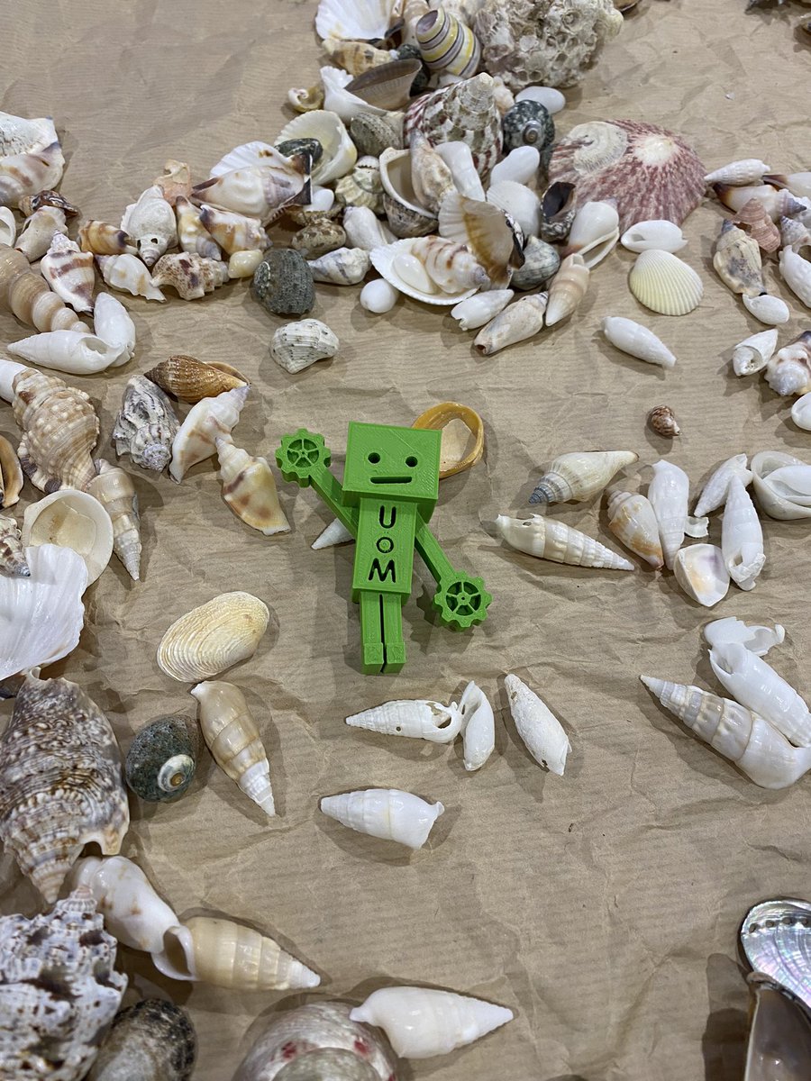 ApprenticesUoM's tweet photo. Coggles, designed and 3D printed by our apprentices, on a day out at the beach during #TEaMUoM2022
Coming home with us though as we’re keeping our beaches plastic-free with a little clean up!
@TEaM_UoM https://t.co/YIQHONkUAV
