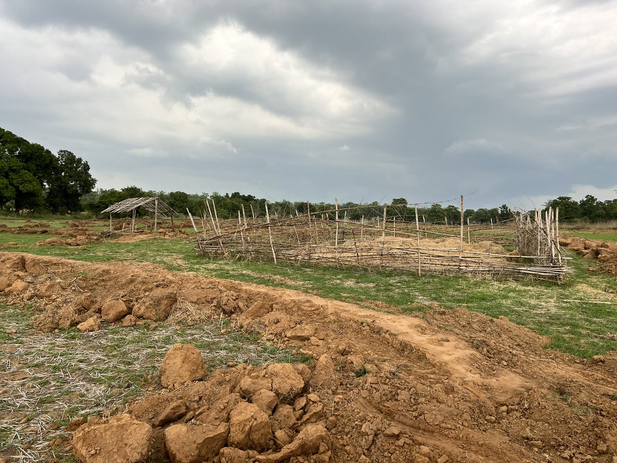 jitendra ramgaokar tweet media