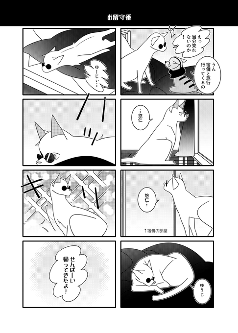 猫五悠!お留守番! 