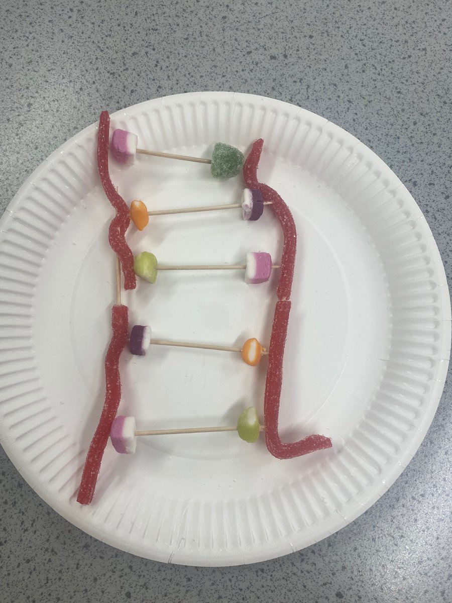 BraeviewScience tweet media