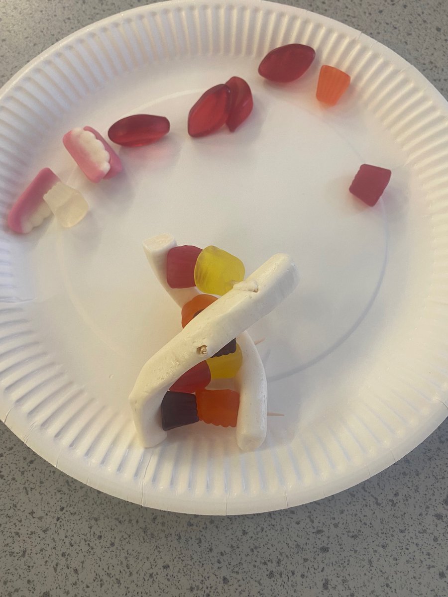 BraeviewScience tweet media