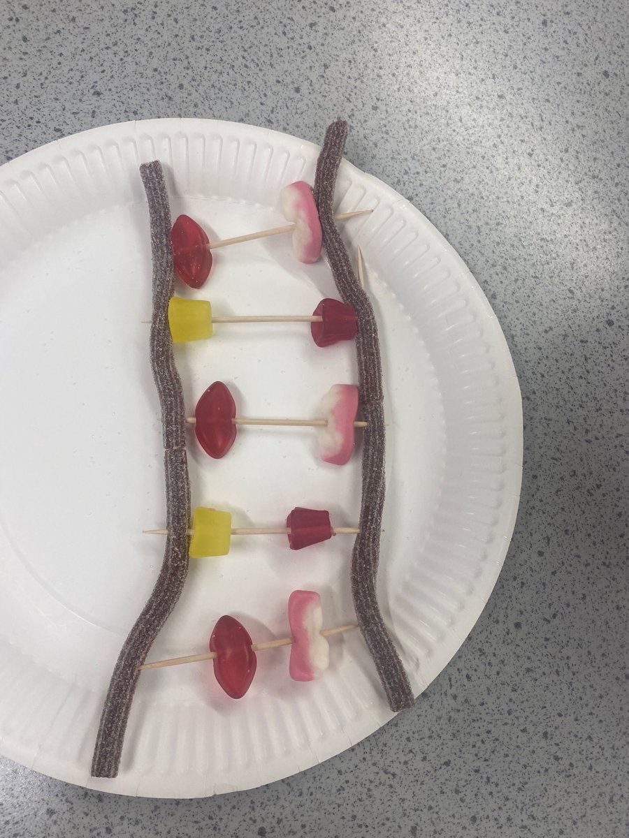 BraeviewScience tweet media