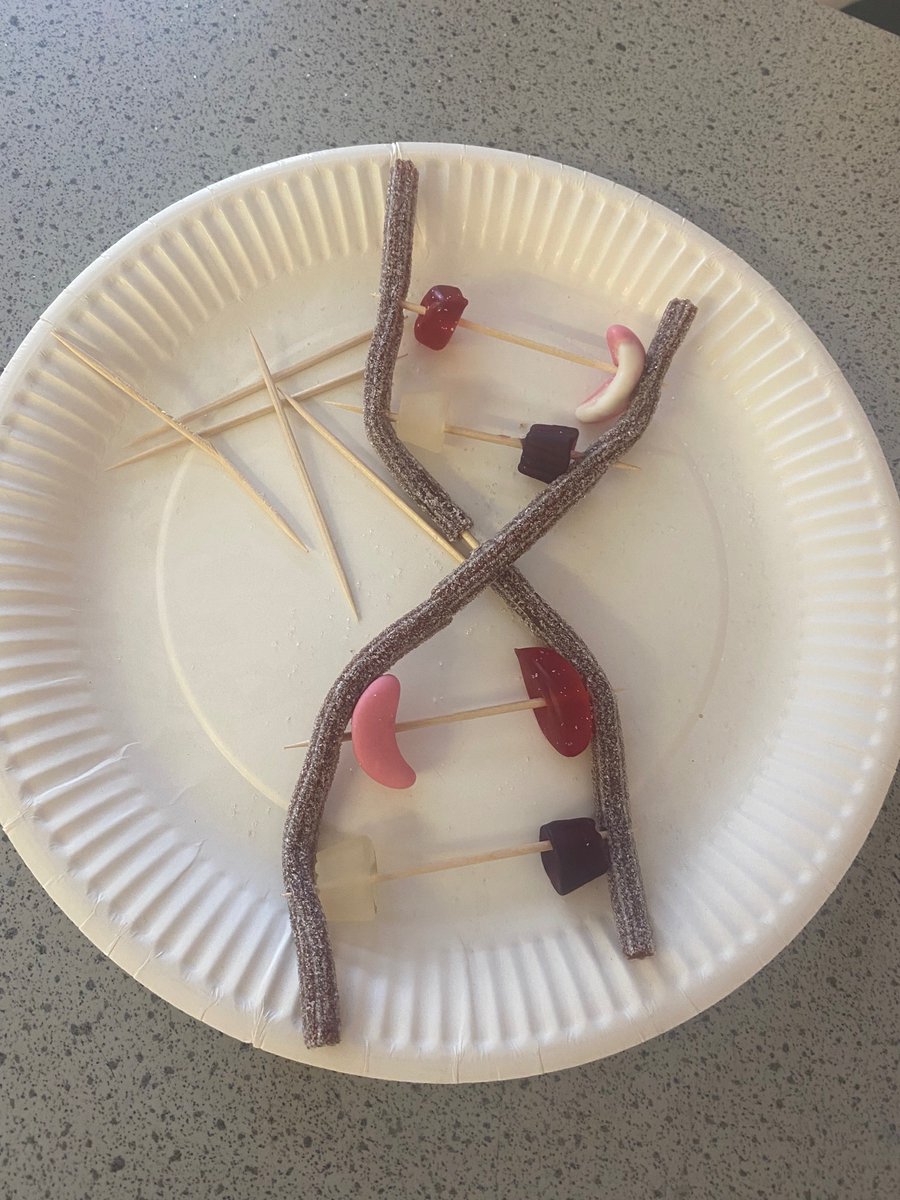 BraeviewScience tweet media