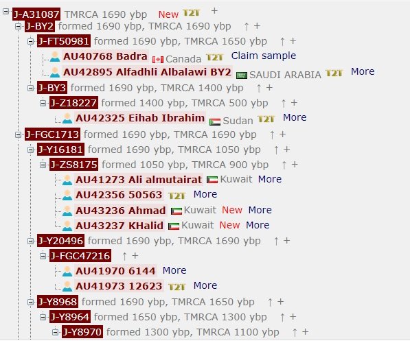 magarhi's tweet photo. ولله الحمد   تم اضافة احد تحورات بنو قيس عيلان  A31087 في المشجرة الصينية 
 الذي جمع سابقا fgc5 , fgc1713 معا ،  و   انضم لهم اليوم  شقيقهم  by2   🔥🔥🔥، و بذلك تنعزل التحورات الثلاث عن اشقائهم الاخرين  fgc7,fgc7944  في تحور يخصهم اسفل fgc1696 https://t.co/2mtsMH63wC