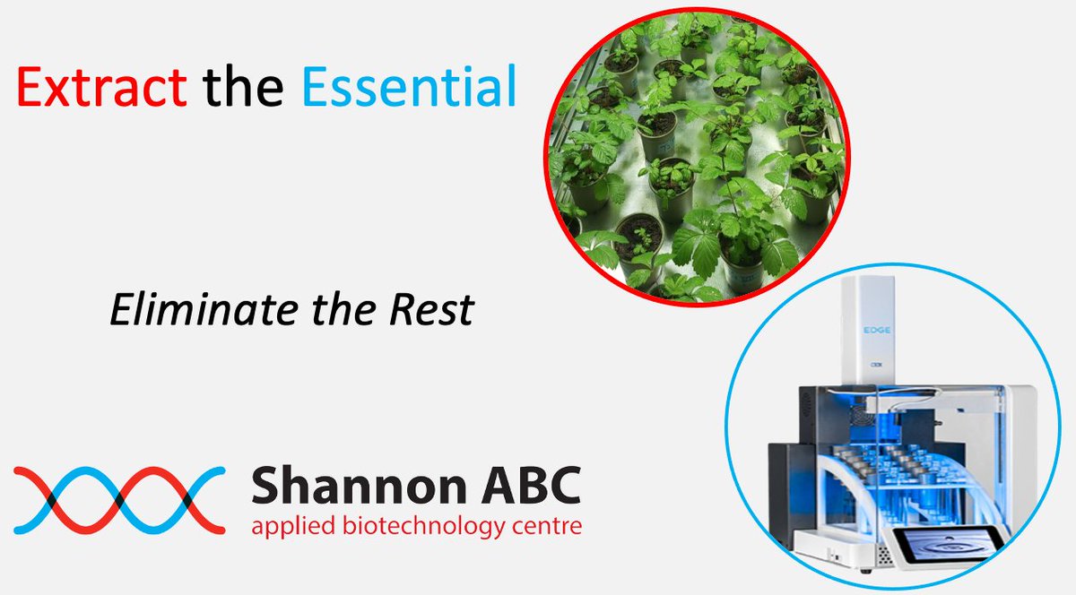 cabr_centre's tweet photo. One of the biggest challenges with natural compound extraction is reproducibility. Contact us to discuss how we can help you develop your research in this area and isolate compounds of interest #extraction #bioactives #extractionsuite #nutraceuticals #proteins #polysaccharides https://t.co/k3KObSiOOd