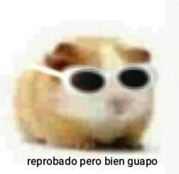 *Yo saliendo de la prueba de mates sabiendo que lo único que puse bien fue mi nombre*
Yo: