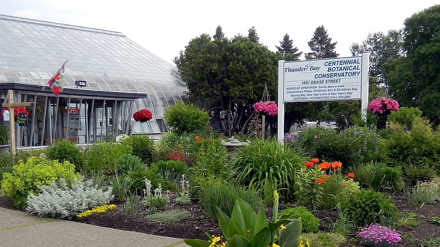 friendsTBcon's tweet photo. Visit #ThunderBay's Centennial Botanical Conservatory. So much beauty, inside and out!
1601 Dease Street, west off Balmoral, open 10am-4pm daily.
Donations are welcome at the door.
#TBay #BotanicalGarden #TBaycation #staycation #YearOfTheGarden https://t.co/fz661iuUho