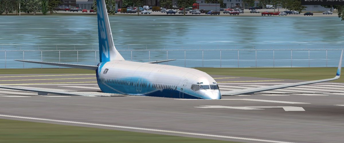 se_Rval's tweet photo. どうして埋まってるんですか???????
#MSFSX https://t.co/abr2syE5Q3