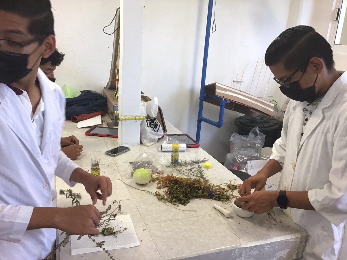 MrMacxonCSA's tweet photo. 3° Sec. los alumnos elaboraron “Especias” tomando del jardín de la salud  las hierbas aromáticas, las  especias  sirven como “condimentos”, para los alimentos. En esta ocasión pueden ser emprendedores
@AppleEDU @ColegioSnAngel_  #ADSinProcess #ColegioSnAngel #CSAPozaRica #Knotion https://t.co/BUMr1dRj06