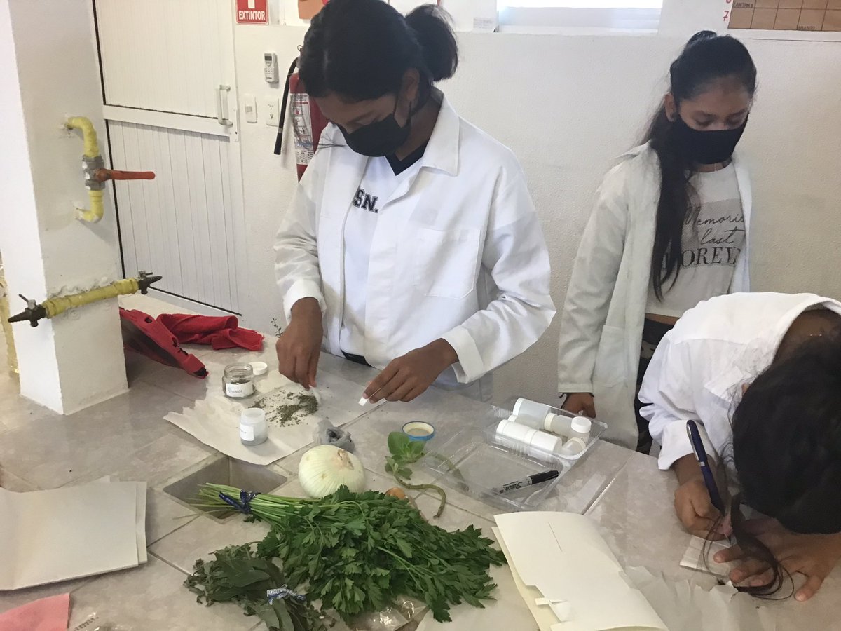 MrMacxonCSA's tweet photo. 3° Sec. los alumnos elaboraron “Especias” tomando del jardín de la salud  las hierbas aromáticas, las  especias  sirven como “condimentos”, para los alimentos. En esta ocasión pueden ser emprendedores
@AppleEDU @ColegioSnAngel_  #ADSinProcess #ColegioSnAngel #CSAPozaRica #Knotion https://t.co/BUMr1dRj06