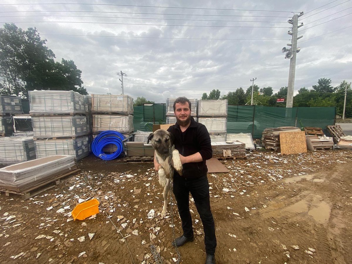 “– Hayvana yumuşak davran! Çünkü yumuşaklık nerede bulunursa orayı güzelleştirir. Yumuşaklığın bulunmadığı her davranış çirkindir” buyurdu. (Müslim, Birr, 78, 79).