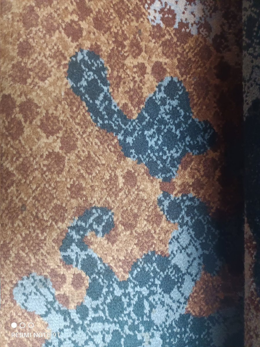 Canxuki's tweet photo. Finding atypical astrocytes in unexpected places. Here, the rug of the stairs in the hotel.
@Robel_Lab #SciencePassion #Atypical #Astrocytes #Glt1 #Postdoclife https://t.co/0dOWikDE2j