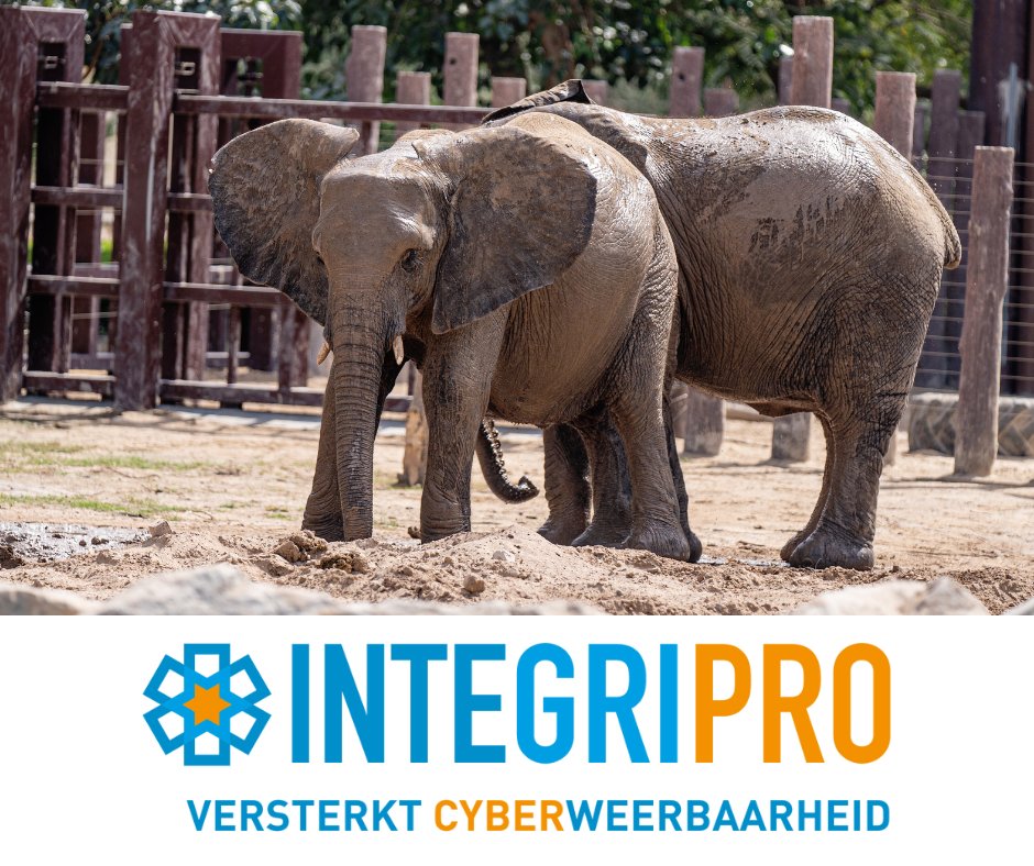 — Wilt u weten wat u kunt doen om het risico van een cyberaanval te verkleinen? 

Deze week in het nieuws ☟
nu.nl/tech/6209123/a…

#cyberaanval #voorkomen #oplossen #integripro #leeuwarden #friesland #mkb