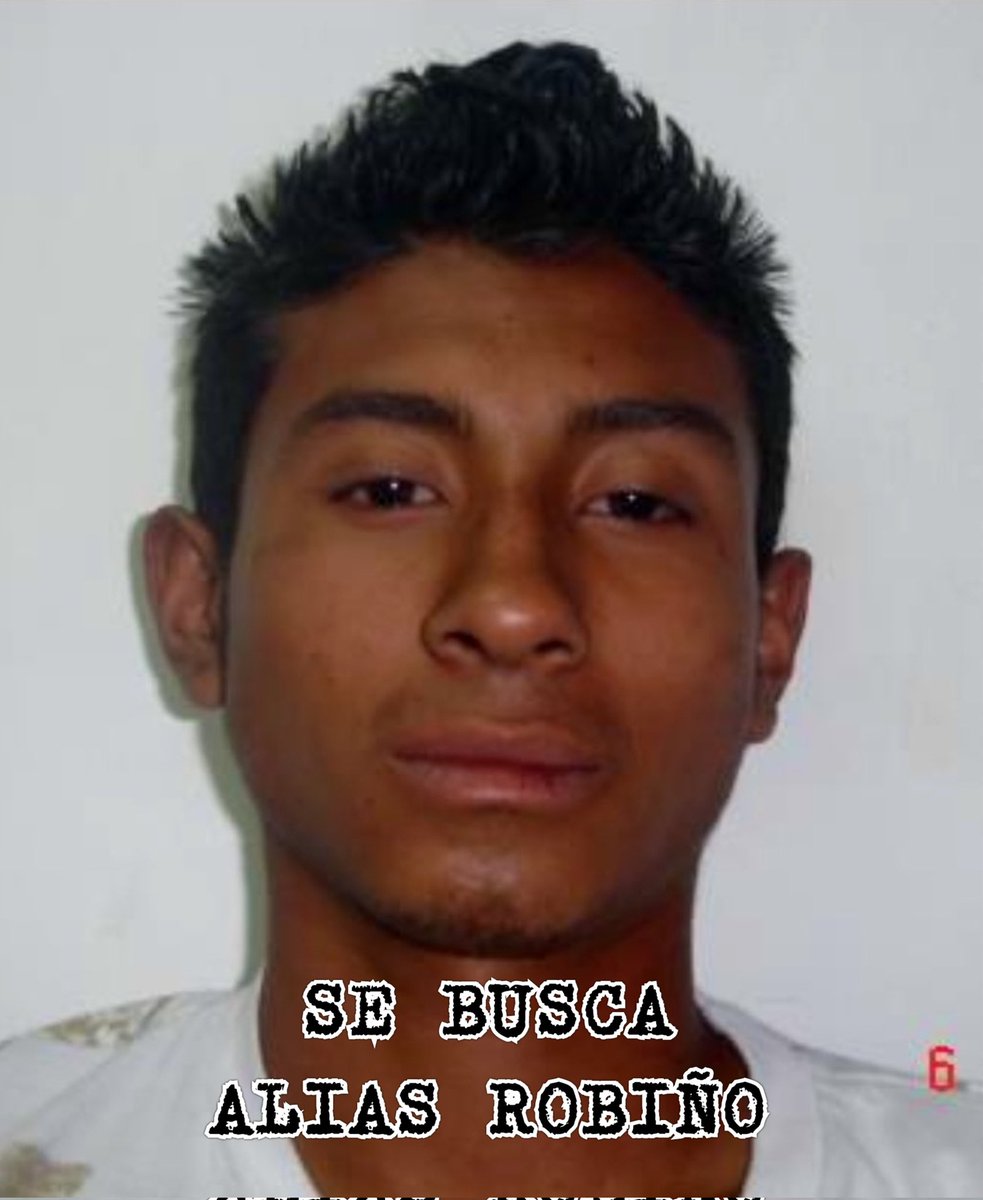 HalconSv27's tweet photo. 🚨SE BUSCAN A ESTOS TERRORISTAS VIVOS O MUERTOS🚨

➡️ Adolfo Alfredo Mejía Lemus, alias “Robiño” 

➡️ Geovanny Chigüila Olmedo, alias “Chimpa” 

Perfilados como los asesinos de 3 Héroes Azules de la PNC en Santa Ana. https://t.co/4gz44ppKZQ