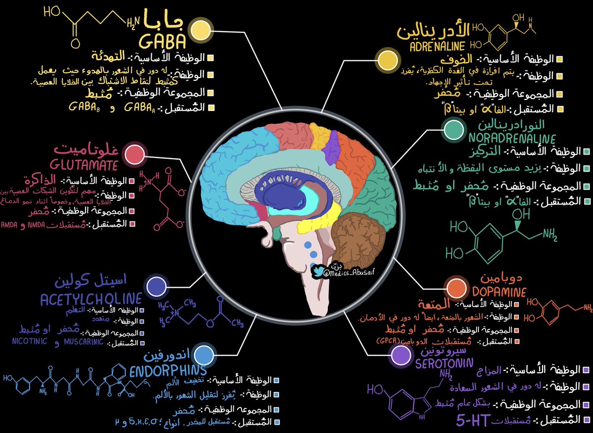 يـزّن الغماس tweet media
