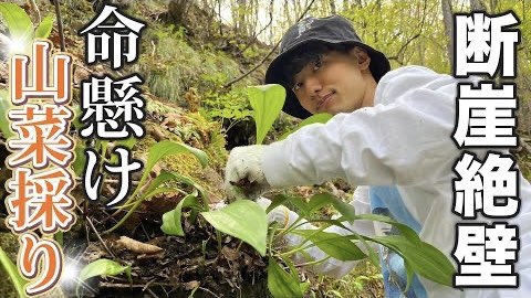 CDicide's tweet photo. 崖で山菜採りしてたら滑り落ちて死にかけたw【行者ニンニク】

久々に更新しました☀️☀️

https://t.co/5PxF45ArDS https://t.co/HM8u8D0Cm1