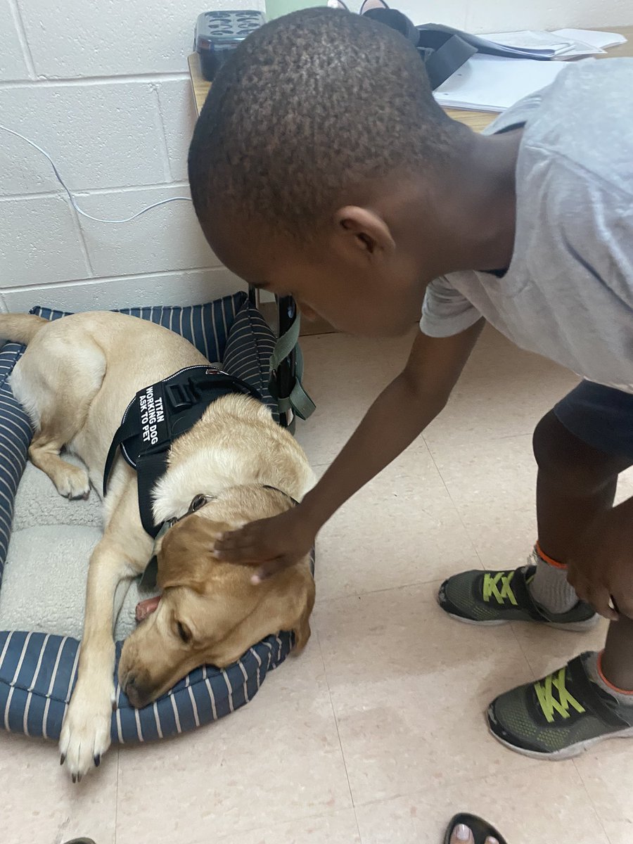 MissKramerSCSF's tweet photo. Titan made a guest appearance at ESY today! Safe to say he is very loved. #dogsofmason #masonmoment https://t.co/DbqDRYYmXA