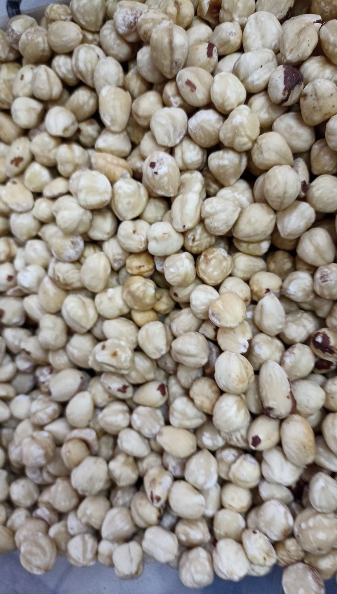 Taze kavrulmuş fındık.
Sürpriz fiyat için Dm lütfen
<a href="/SeferYoresel/">Seferoğlu Hatay Yöresel</a>