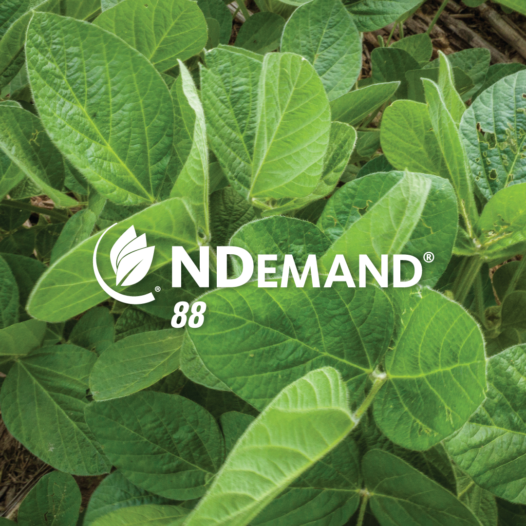 As we head into summer, stay ahead of your crops’ #nutrient demands. NDemand® 88 boasts a unique liquid formulation of NPK and micronutrients to address major #yield limitations and mitigate abiotic stress. #WilburEllisAg