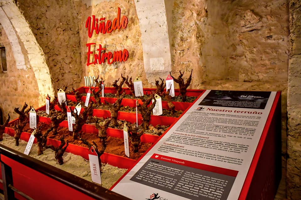 La Ruta del Vino Calatayud se posiciona como la primera ruta del vino de España en número de visitantes a Bodegas y Museos. Una extraordinaria noticia que nos llena de ilusión y energía para seguir trabajando por el enoturismo de la Comarca de Calatayud y el Enoturismo de Aragón