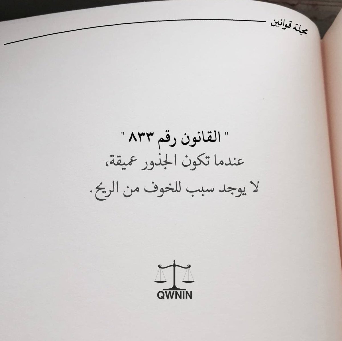 MShtlan tweet picture