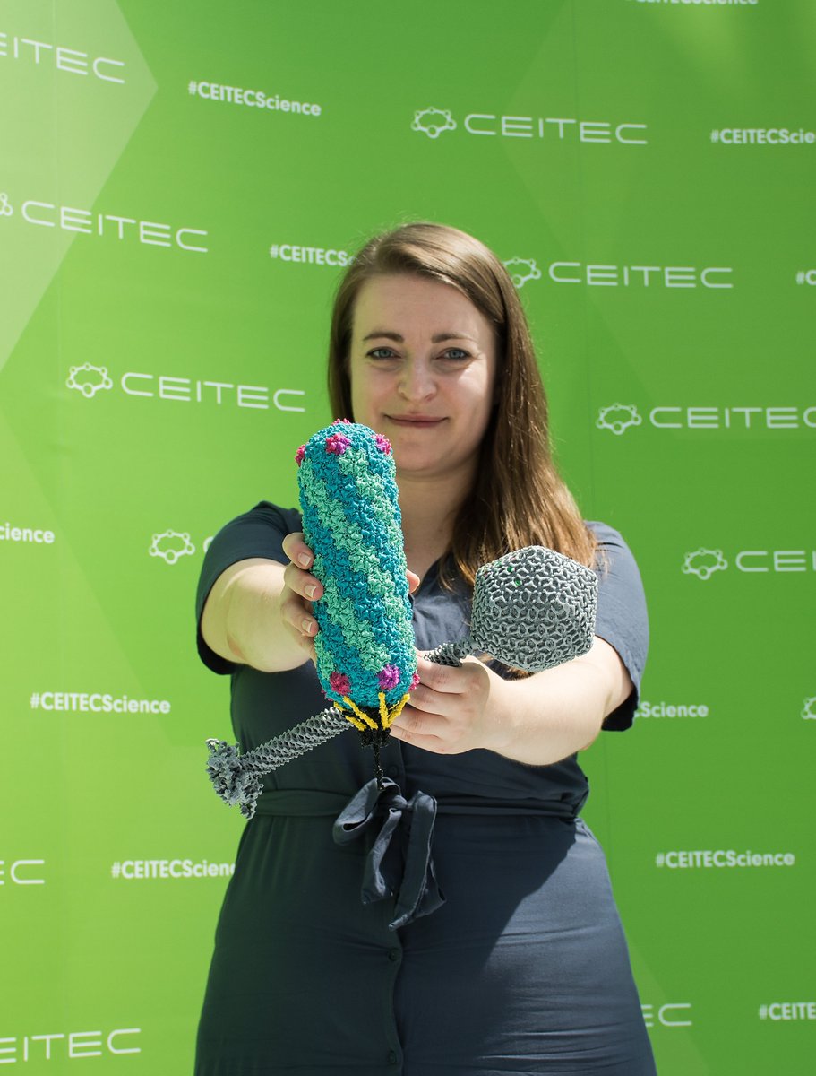 CEITEC_Brno's tweet photo. We even have two new #graduates from yesterday at
@CEITEC_Brno @muni_cz!🥳💚
#Congratulations to Dr. Aiste Kasiliauskaite and Dr. Marta Siborova👏
We wish both of you the best in your future career🍀
#CEITECPhD #CEITECAlumni https://t.co/bcQ5B8wllz